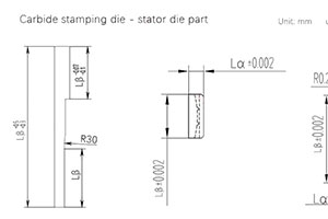 carbide stamping die stator